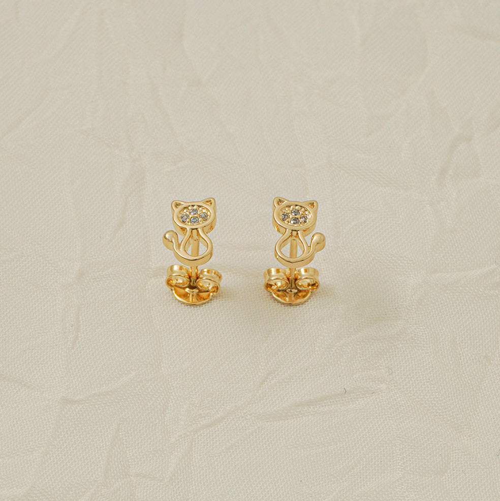 Areta Gato Circonias