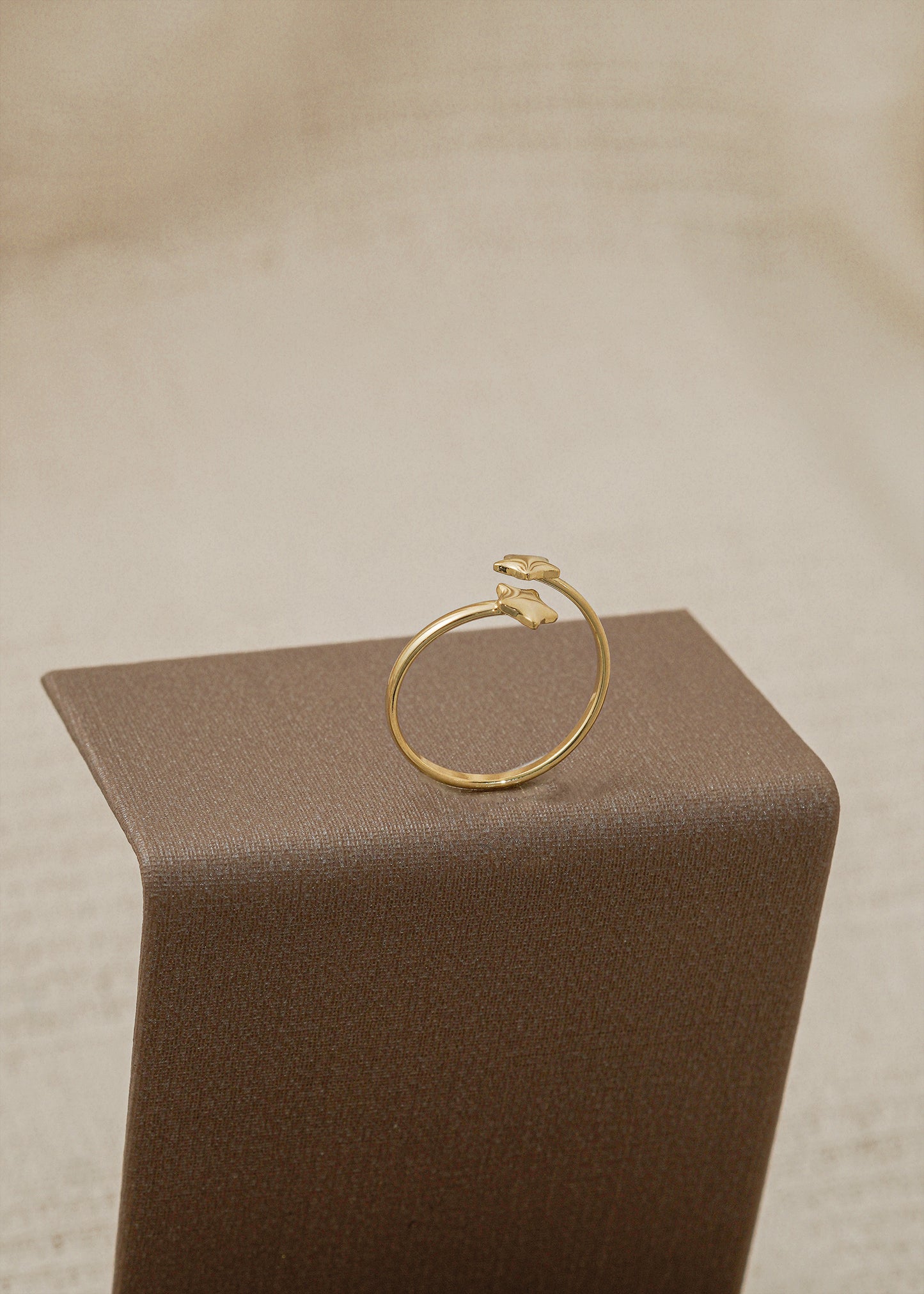 Anillo Stars ajustable