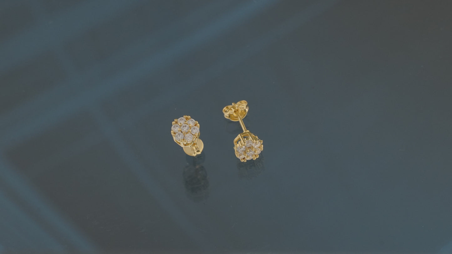 ARETAS