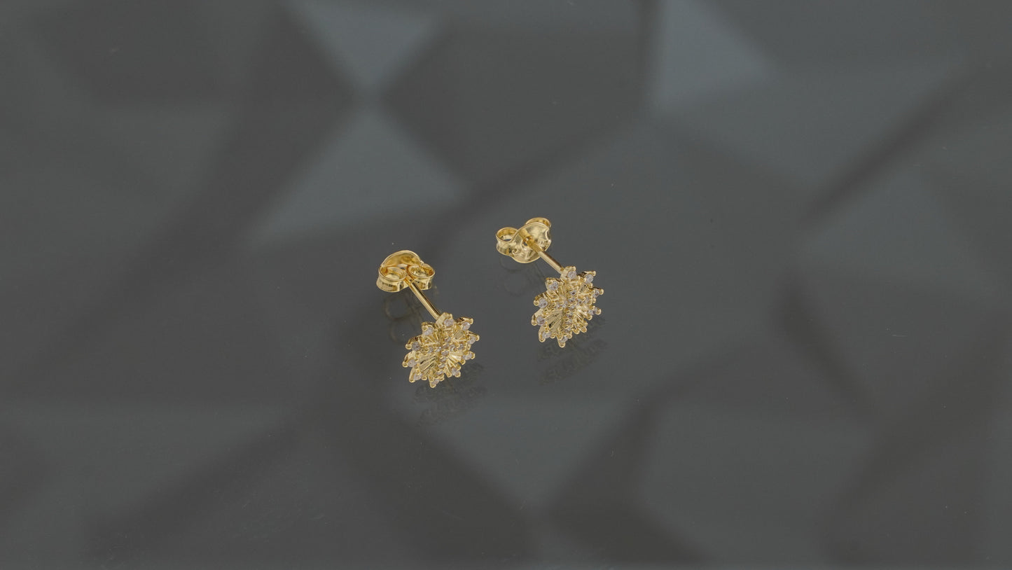 ARETAS