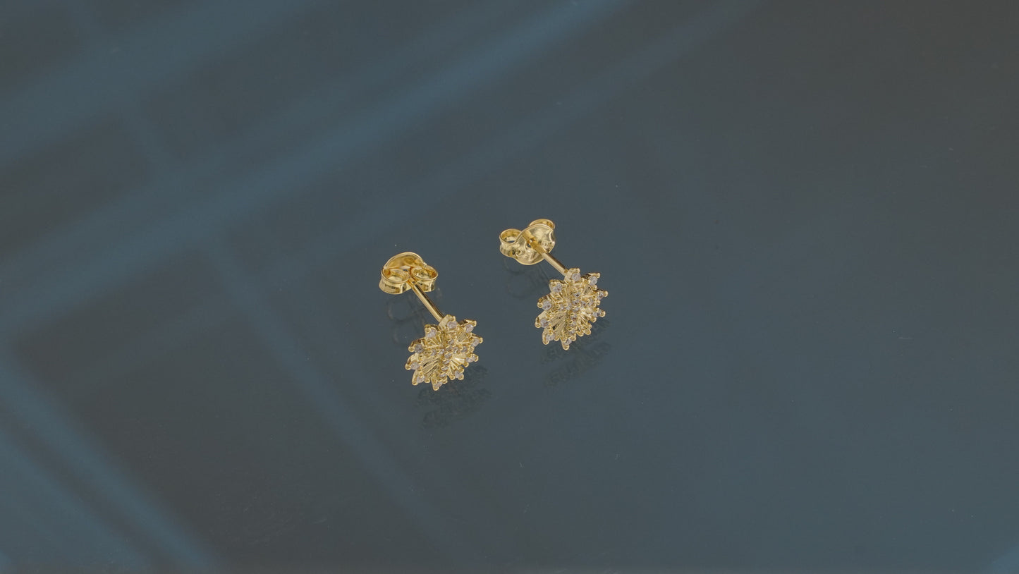 ARETAS