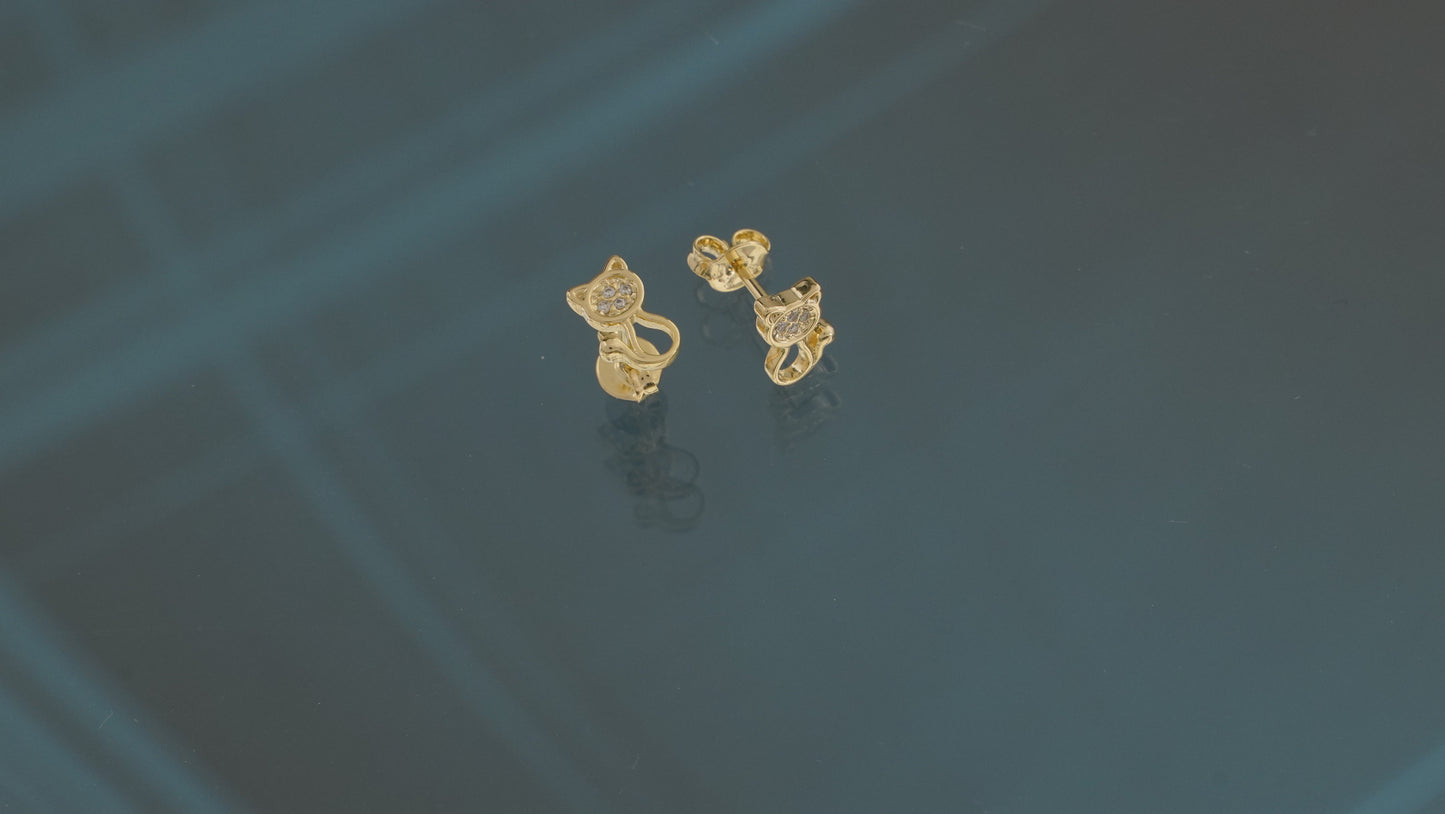 ARETAS